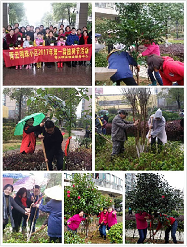 &#21338;&#40060;&#32593;&#39029;&#29256;&#30331;&#20837;&#30028;&#38754;&#45;&#21338;&#40060;&#40;&#20013;&#22269;&#41;